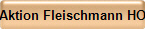 Aktion Fleischmann HO